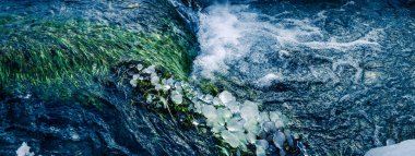 Stream in alpine mountain, France, Europe