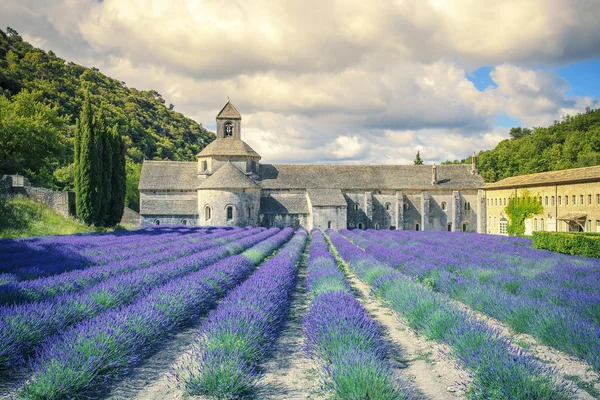 Abbey of Senanque in morning light. — Stock Photo, Image