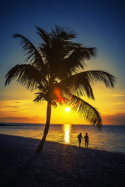 Romantic walk — Stock Photo, Image