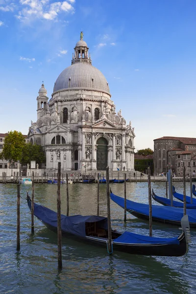 Góndolas y Basílica de Santa Maria della Salute — Foto de Stock