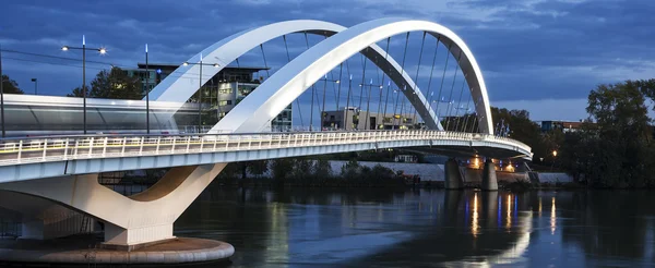 Vista panorámica del famoso puente de Lyon — Foto de Stock