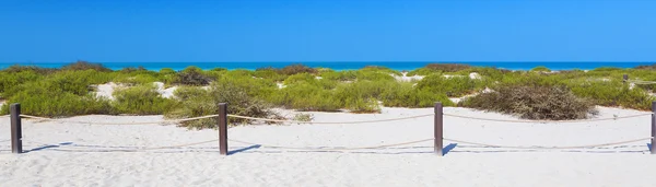 Panoramisch uitzicht op strand — Stockfoto