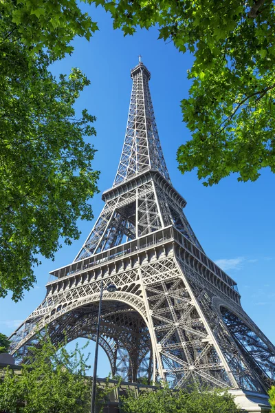 Eiffel Tower and trees — Stock Photo, Image