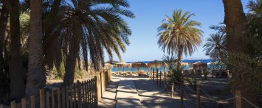 Yunanistan 'ın Girit kentindeki ünlü Vai plajı