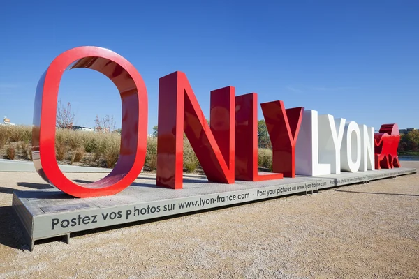 Solo Lyon y el cielo azul — Foto de Stock