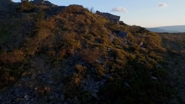 Carpathian Mountains Bird Flight — Stock Video