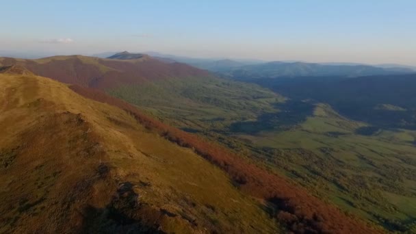 Carpathian Mountains Bird Flight Summer — Stock Video