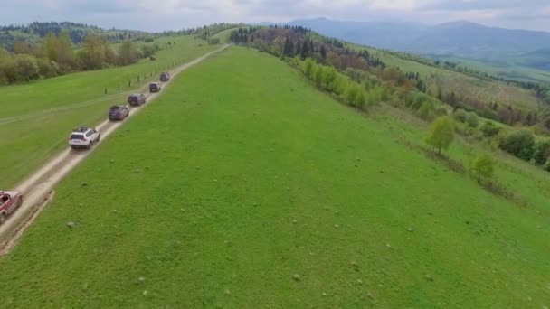 SUV konvoj färdas genom bergen i Karpaterna. den kamera flyger över fälten över stenar och ängar och träd — Stockvideo