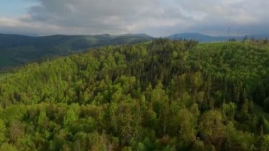 Karpat Dağları kuş uçuş yaz