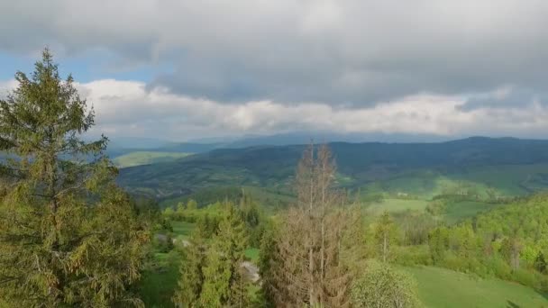 Cárpatos montanhas pássaro voo verão — Vídeo de Stock