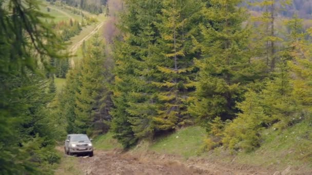 Ukraine May 2016 Carpathians Cordon — Stock Video