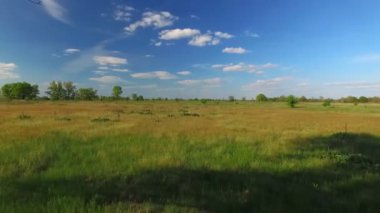 Tarlada yapayalnız ağaç