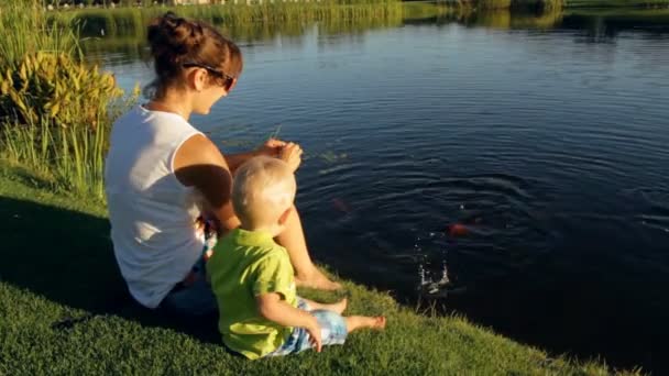 Годування риби в озері — стокове відео