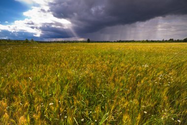 Samanlık arka planda