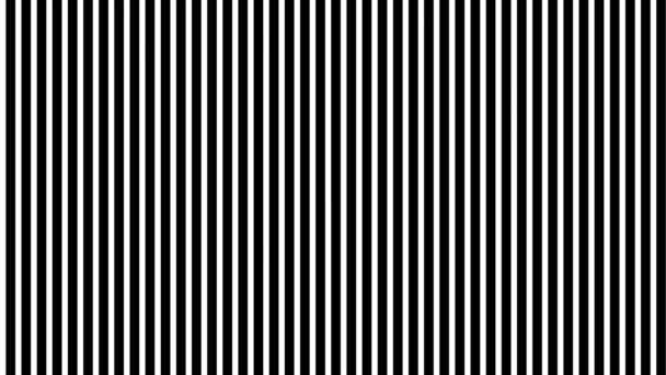 Vertical Straight Lines Black White Thickness Ratio Equal 55Px 34Px — Stock Video