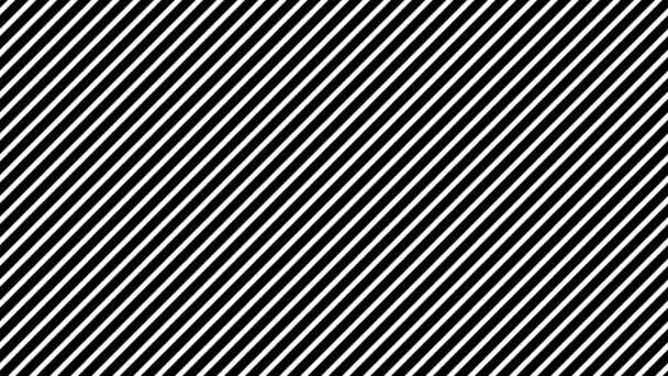 Oblique Egyenes Vonalak Fekete Fehér Vastagság Arány Egyenlő 55Px 34Px — Stock videók