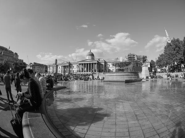 Siyah beyaz Londra'da Trafalgar Meydanı — Stok fotoğraf