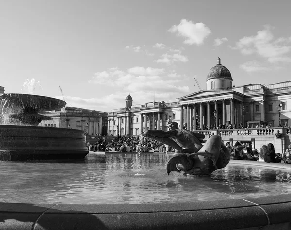 Trafalgar Square em Londres em preto e branco — Fotografia de Stock