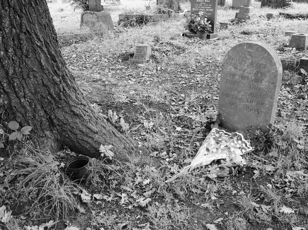 Siyah beyaz Arden Tanworth Nick Drake mezar