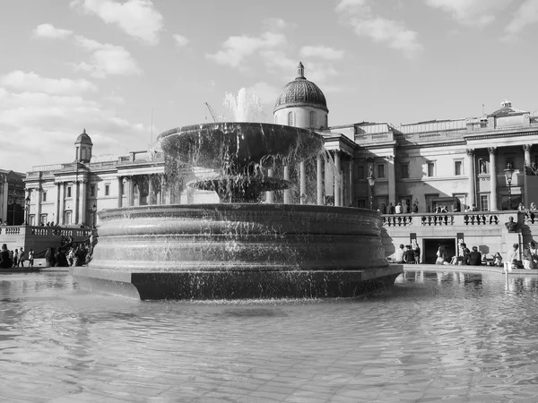 Trafalgar Square, London, fekete-fehér — Stock Fotó