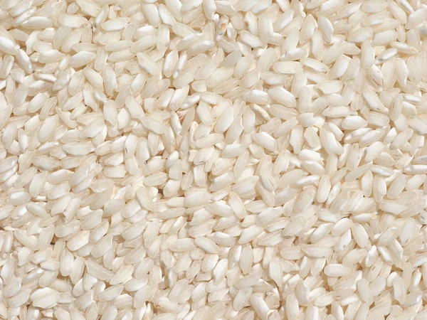 Carnaroli rijst eten — Stockfoto
