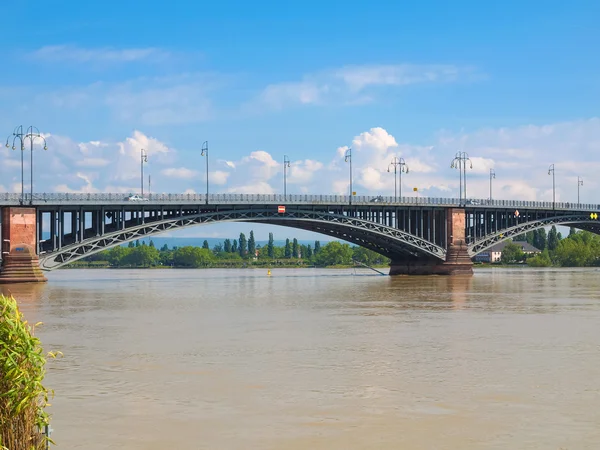 Río Rin en Maguncia — Foto de Stock
