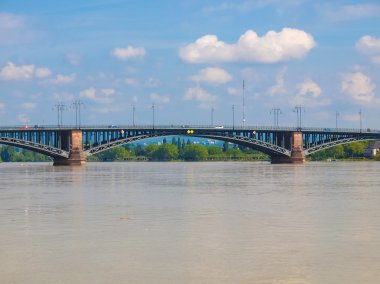 Ren Nehri Mainz