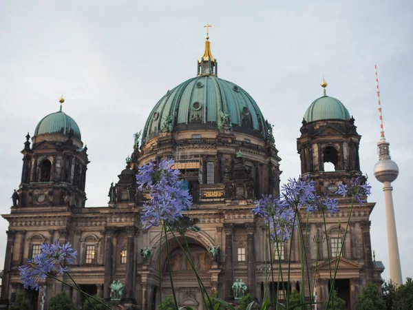 Berliner Dom in Berlin — Stockfoto