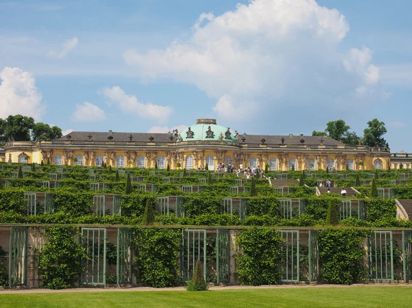 Schloss Sanssouci in Potsdam — Stock Photo, Image