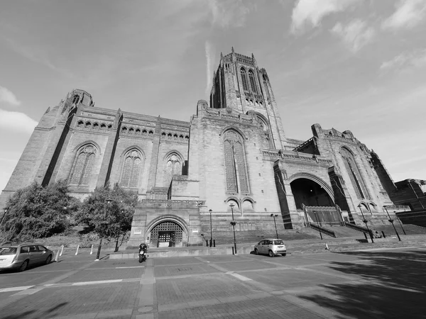 Ливерпульский собор — стоковое фото
