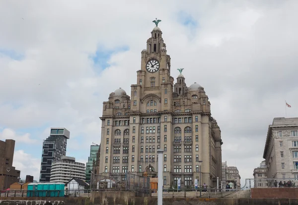 Liverpool'da bina karaciğer — Stok fotoğraf