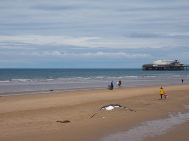 Blackpool Pleasure Beach