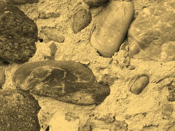 Sepia de pared de ladrillo — Foto de Stock