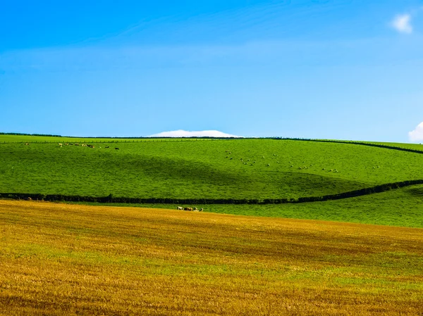 Cardross hill Hdr — Zdjęcie stockowe