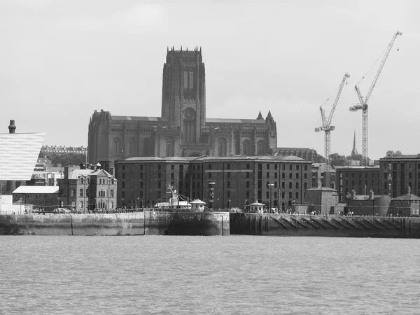 Cathédrale de Liverpool — Photo