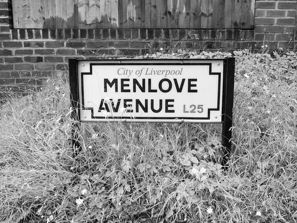 Menlove avenue schild in leberpool — Stockfoto