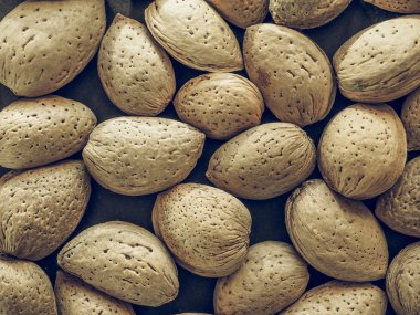 Bademli meyve vintage desaturated