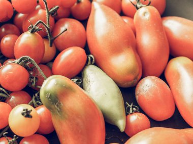 Domates sebze vintage desaturated