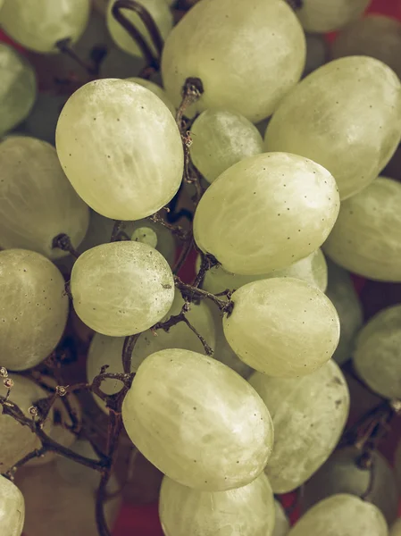 Grape picture vintage desaturated — Stock Photo, Image