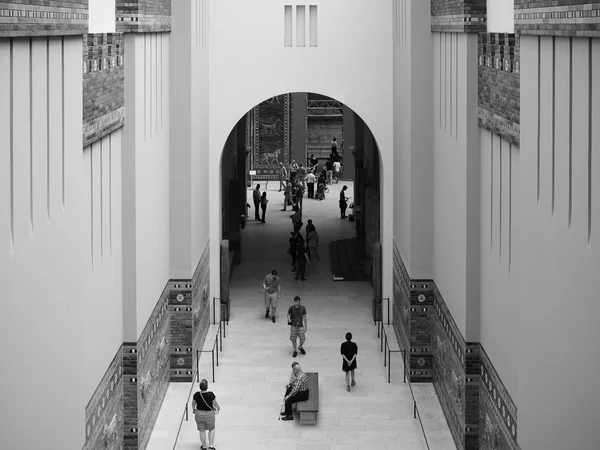 Pergamon museum in Berlin in black and white — Stock Photo, Image