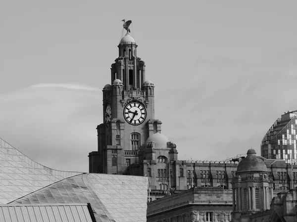 Edificio hepático en Liverpool — Foto de Stock