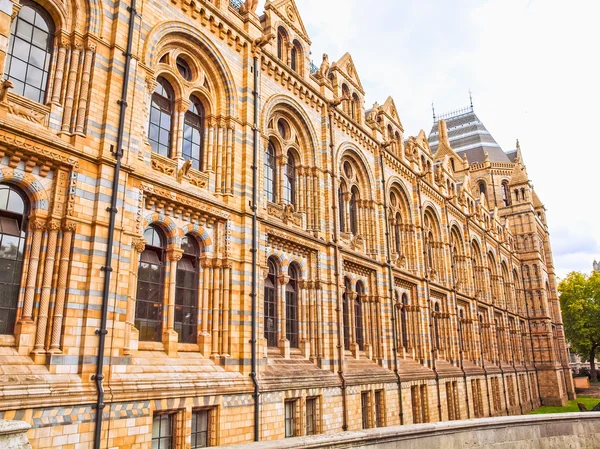 Natural History Museum, London, Uk Hdr — Stockfoto