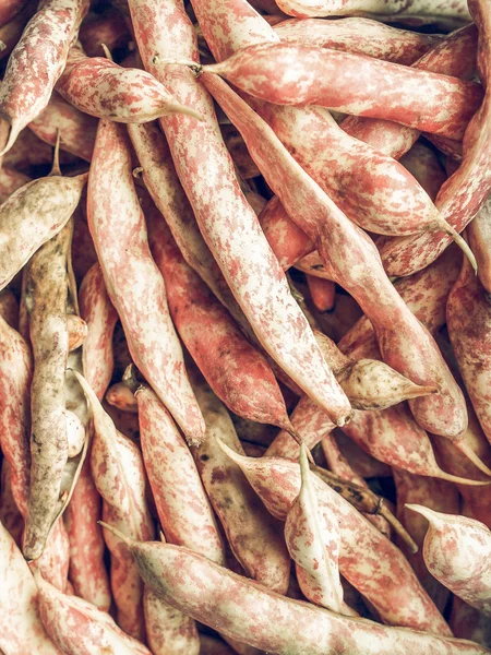 Cranberry beans vintage desaturated — Stock Photo, Image