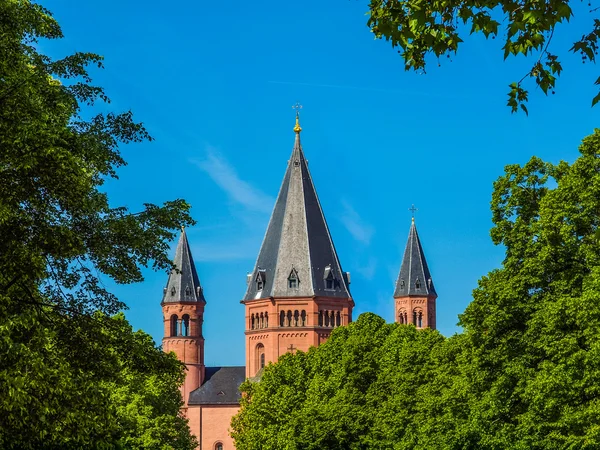 Mainz Münster hdr — Stockfoto