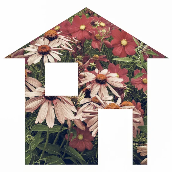 Vintage house kwiat — Zdjęcie stockowe