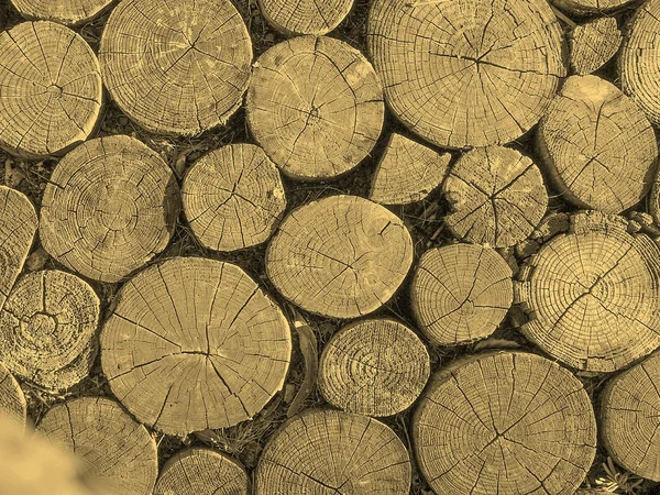 Holz Hintergrund Sepia — Stockfoto