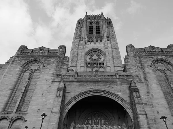 Catedral de Liverpool em Liverpool — Fotografia de Stock