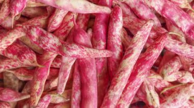 Kırmızı fasulye, sıradan fasulye baklagilleri vejetaryen yiyecekler (bilimsel adı Phaseolus vulgaris)