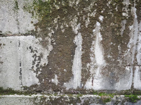 Verweerd Grijs Betonnen Muur Met Mos Nuttig Als Achtergrond — Stockfoto