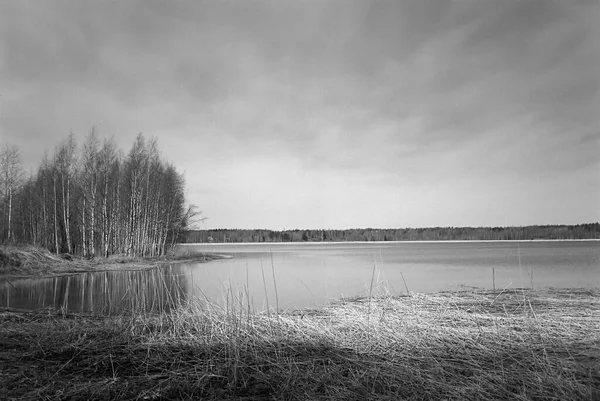 Финское Озеро Березами Хельсинки — стоковое фото